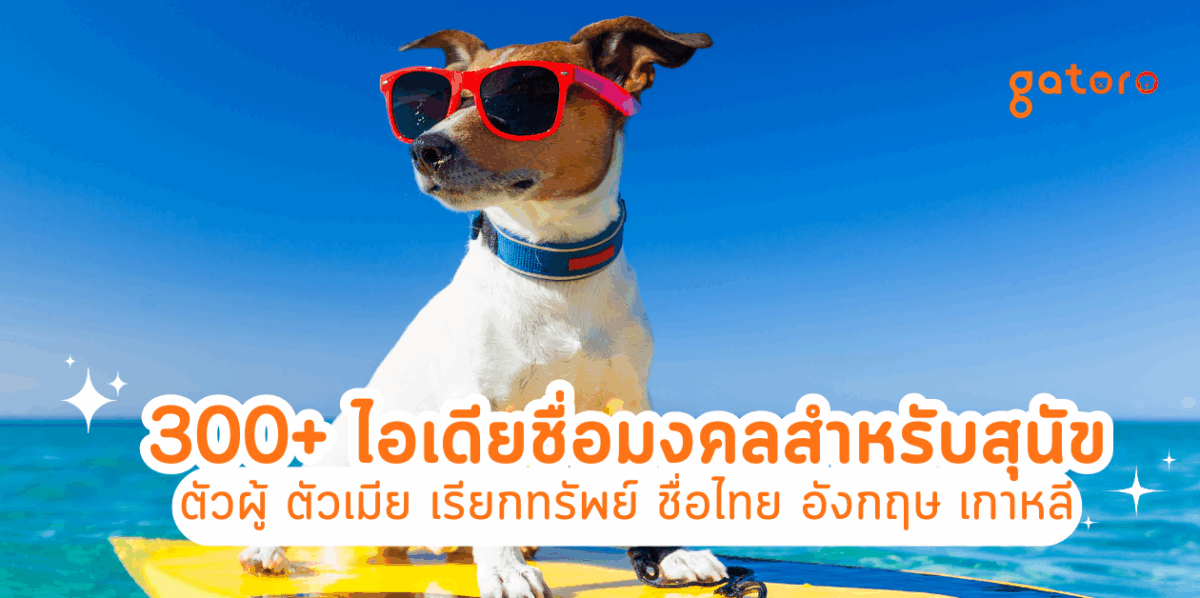 ตั้งชื่อสุนัขเรียกทรัพย์