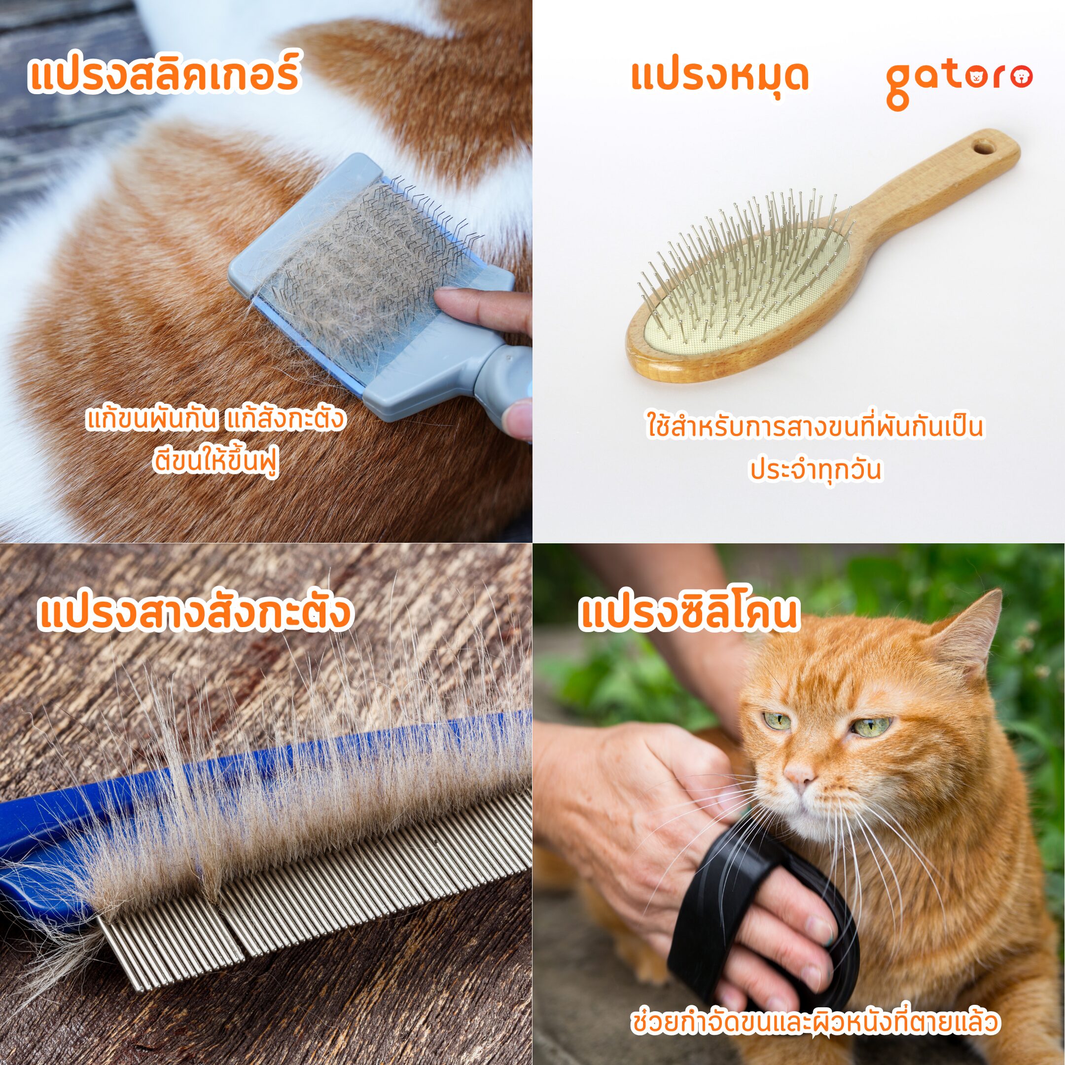 แมวขนร่วง แก้ยังไง ถ้าเกิดจากการผลัดขน แปรงขนช่วยได้มาก